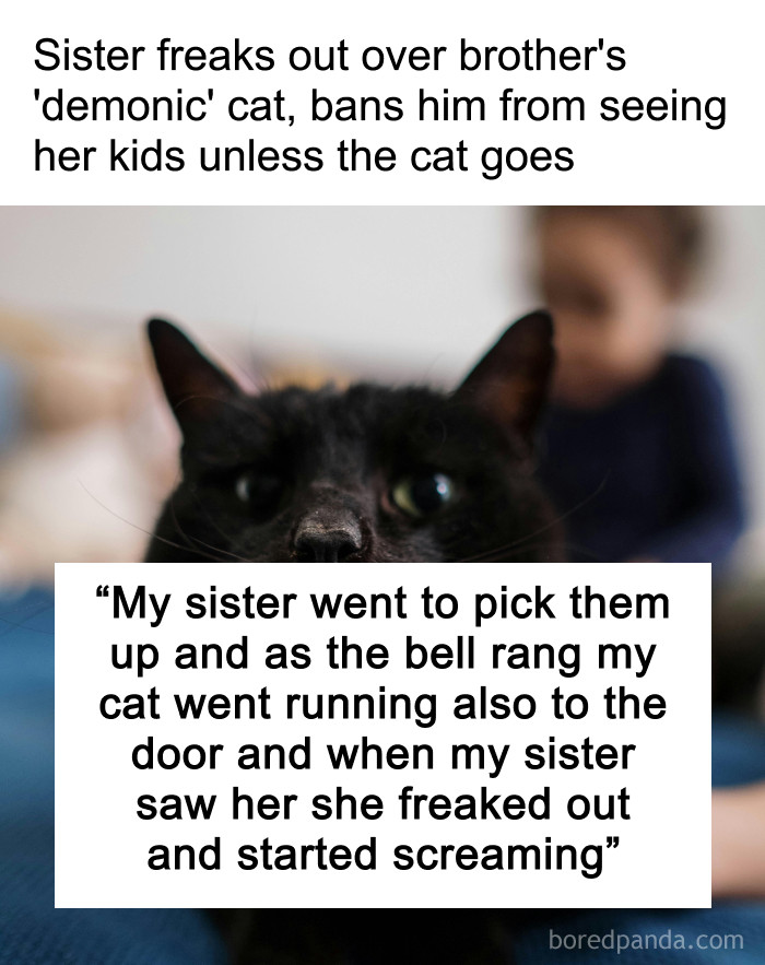 Sister Freaks Out Over Brother’s ‘Demonic’ Cat, Bans Him From Seeing Her Kids Unless The Cat Goes