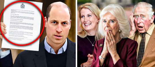 Buckingham Palace Trembles Prince William Approved Title Change For Duchess Sophie’s Children…!!