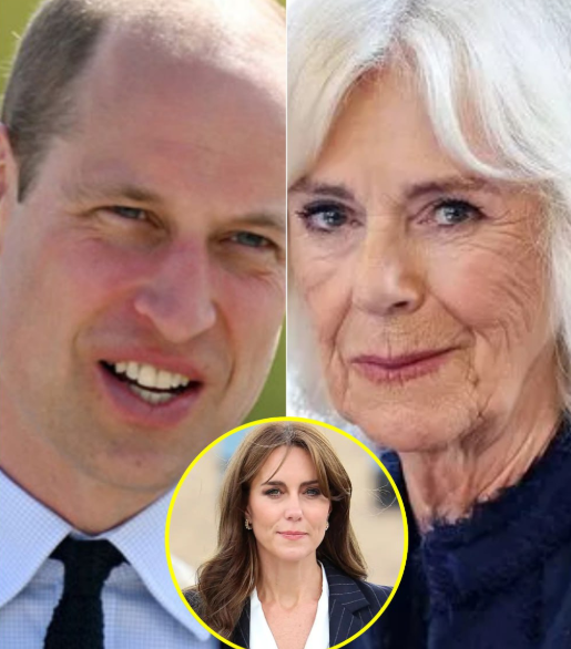 “The Culprit Who Cut My Mother Diana’s Seatbelt Is Clear,” Prince William Announces To Kate After Recovering 30-Year-Old Footage: Queen Camilla’s Shocking Actions