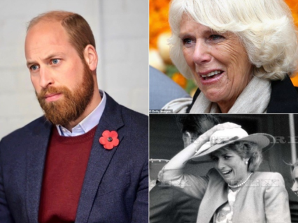 At The End Of Her Life, Camilla Admits To Prince William The Truth About Diana’s Pursuer That Night: “I Didn’t Intend To Harm Diana, It Was Diana Who…