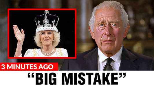 King Charles has finally admitted the truth we have long suspected: “The car carrying Diana was punctured by someone who tampered with the tire…”