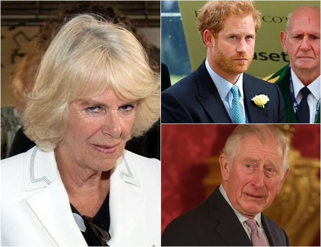 Sweet Revenge: Camilla drops BOMBSHELL about Prince Harry’s DNA test results — ‘I know… Harry’s real father is actually…’”