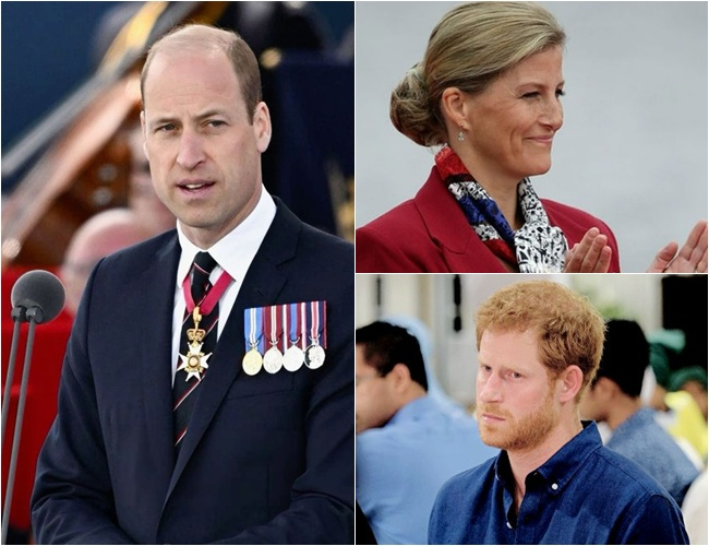 William Shocks Camilla with Historic Decision to Transfer Her Duties to Sophie at royal Summit: The whole of Britain is heartbroken for Harry after the shocking revelation.