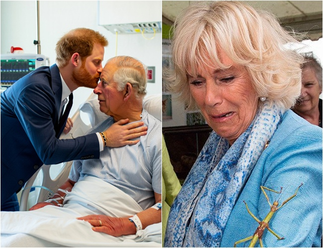 Shocking royal twist! King Charles calls Harry back: ‘Take your title—and help your brother seize the crown!’”