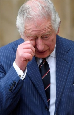 “We’re Running Out of Time!” William Makes hurtful DECISION As Doctors Confirm King Charles BAD NEWS: “The British people cried for three days and three nights after hearing it…