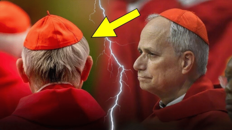 HOT NEWS: Pope Leo XIV Faced the Most Feared Cardinal—What Happened Next Shook the Entire Church!