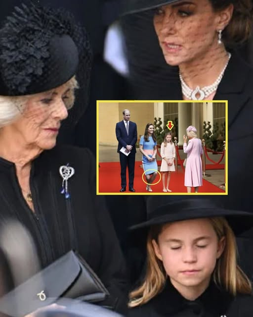 PALACE IN CHAOS! Charlotte REFUSES To Curtsy To Step-grandmother Camilla At Royal Concert, Queen’s Response Shocks All.