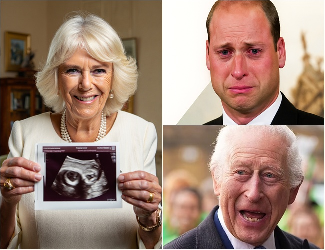 The Heir Has Changed! Camilla Joyfully Announces She’s Pregnant with the Royal Family’s First Newborn — William Breaks Down: “Has She Lost Her Mind?”