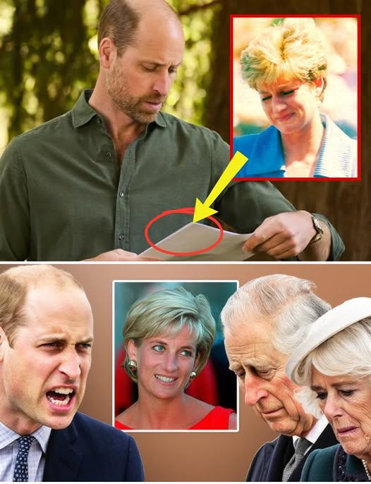 “Why Was I KEPT in the Dark About This?” – Prince William Furious as King Charles Reveals Princess Diana’s Final Will, Shaking the Entire Royal Family.