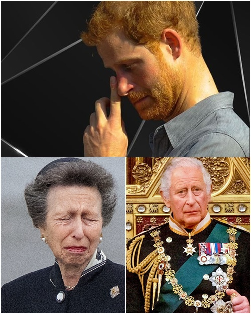 15 MINUTES AGO: Harry gently wiped away his tears as he delivered the tragic news. Princess Anne squeezed her eyes shut, unable to believe it was real. Dark clouds gathered over Buckingham Palace, casting a heavy shadow — the Royal Family shaken to its core as one member has…