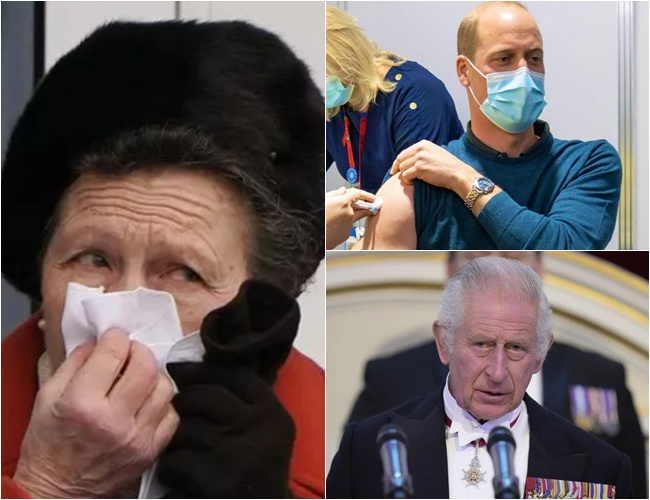 Oh, congratulations Princess Anne! The DNA test results of William are out, shattering the long-standing rumors and confirming the TRUTH hidden for 40 years: ‘A shocking twist for the monarchy, it turns out…’”