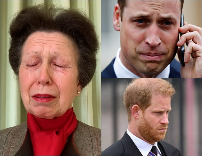 Midnight Emergency Call: William summoned Harry back as the Palace went into lockdown under the press siege. Princess Anne sobbed with heart-wrenching cries in the dead of night: ‘We announce with immense grief…’”