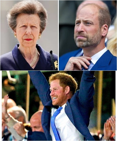 7 MINUTES AGO! Princess Anne’s bitter remark sparked a secret emergency meeting led by Prince William. What happened inside left the Palace reeling — a letter and William’s DNA test results were exposed.