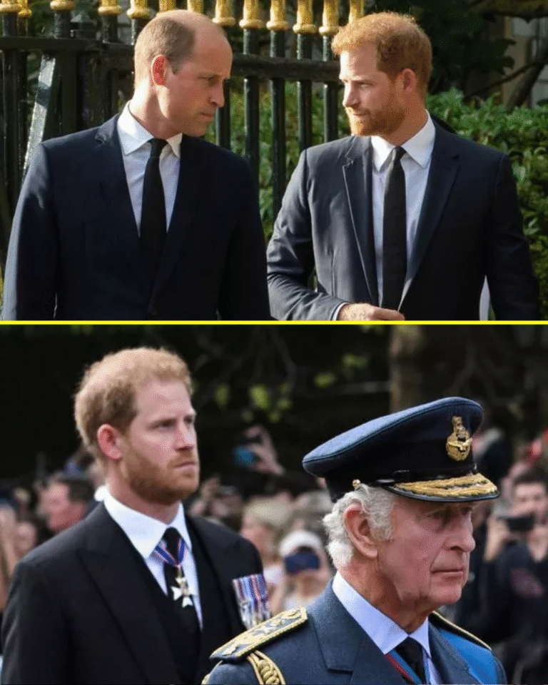“‘I Know He’s Not My Biological Father, But…’ — Prince Harry Hints at the TRUTH Hidden for 40 Years: Rumors About DNA Results Confirm It’s…”