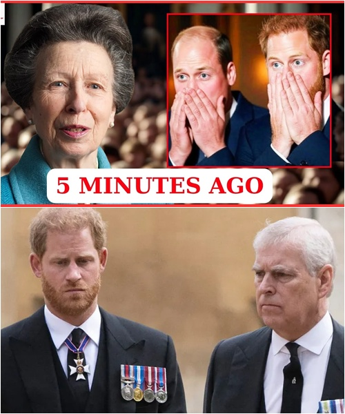 Heartbreak! Princess Anne Urgently Calls Harry Back as the Palace Flies the White Flag, Grief Spreads Everywhere: ‘It’s Time to Say Goodbye to a Royal Family Member Forever…’”