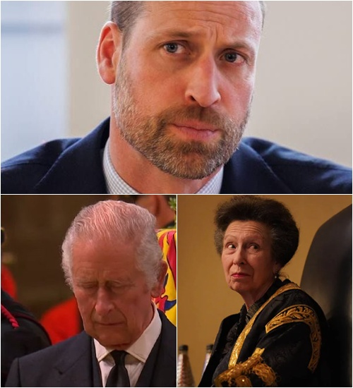 Tragic Twist 10 Minutes Ago! Prince William Shreds DNA Test in Tears — ‘Princess Anne Was Right… I Know Who My Real Father Is’”