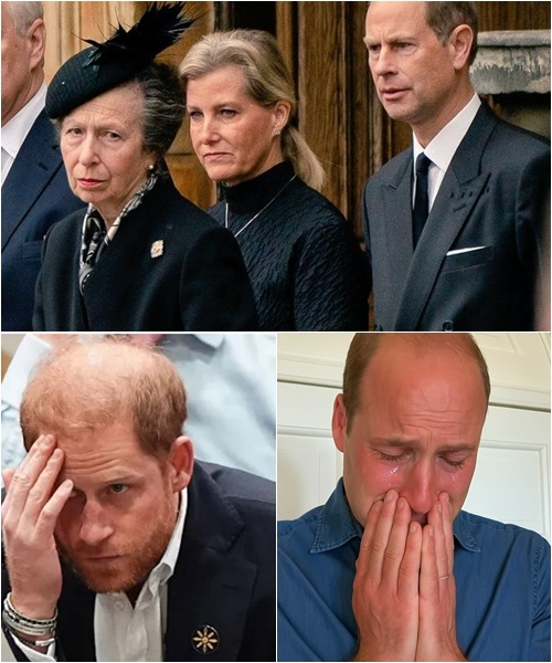 3 Minutes Ago! Harry bowed his head as he faced the royal family — a wave of sorrow hung over Buckingham Palace, and Prince William broke down in tears.