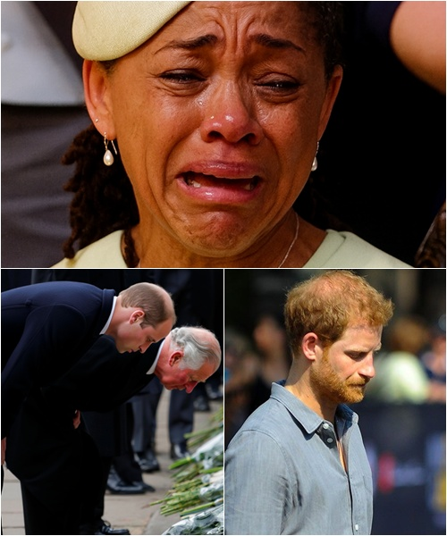 1 MINUTES AGO: “Bow… and pay your respects…” — William and King Charles’s heartfelt words brought Doria Ragland to tears, as grief swept through the room. Harry stayed silent, coldly wiping his eyes before whispering, “We are so sorry…”
