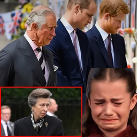 1 HOUR AGO! “Everyone, bow your heads and…” Princess Anne’s trembling voice echoed through the grand hall. Harry rushed back to the Palace, leaving all grudges behind. No press, no cameras — only a chilling silence: “We are deeply saddened to announce…”
