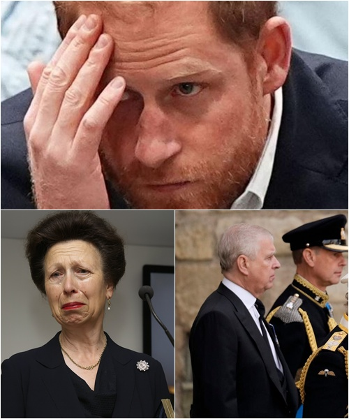 30 MINUTES AGO! “Harry, forget Meghan and bow your head…” Princess Anne’s voice rang through the Grand Hall, leaving Harry too ashamed to meet her gaze. The Palace was shrouded in loss, the royals watching in silence: “With heavy hearts, we announce…” — but what followed left the nation breathless.