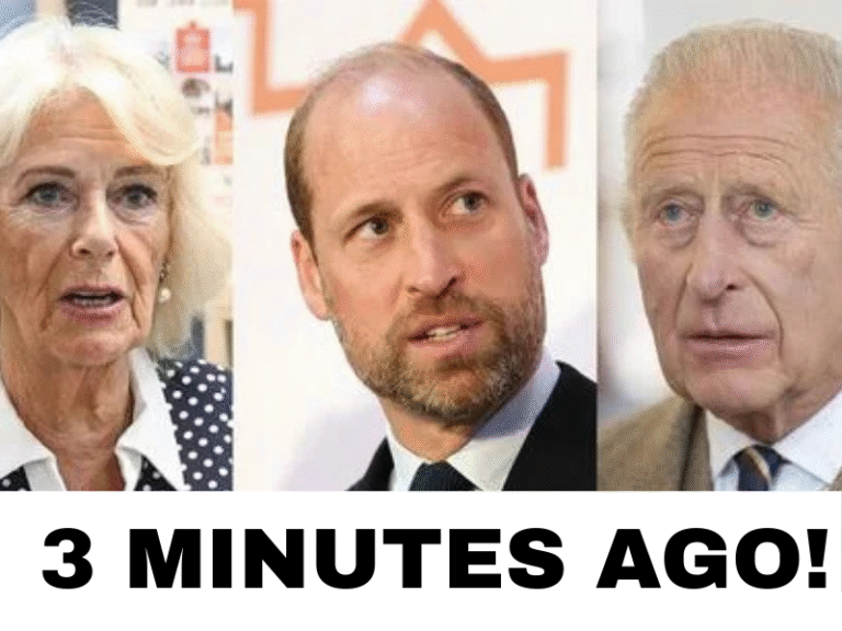 3 MINUTES AGO! Queen Camilla has urged King Charles to “limit” Prince William’s power within the monarchy.