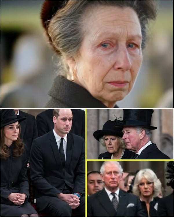 SAD NEW! BUCKINGHAM IN SILENCE Princess Anne, eyes swollen after a sleepless night, summoned a secret royal meeting. Exhausted and trembling, she could barely stand, while no cameras or reporters were allowed inside. King Charles III stood silently, head bowed. Then Anne’s cry pierced the hall: “My husband… he…