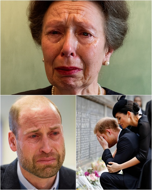 Sad News 10 MINUTES AGO! Princess Anne — the last elder pillar of the monarchy — broke down in tears, her eyes red as she delivered IMPORTANT NEWS to the nation. In the grand hall, William wailed in despair, while Harry buried his face in his hands and collapsed. Then came the cry that split the night apart: ‘We are deeply saddened…’”