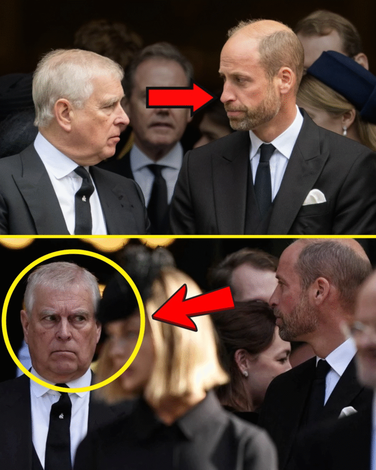 “Stay silent… and leave at once!” Prince William snapped, eyes blazing at his uncle Prince Andrew as the disgraced royal smirked and chuckled through the funeral of the Duchess of Kent. Defying Andrew’s awkward small talk, William stepped in as future monarch — and what Andrew screamed next froze the entire chapel…