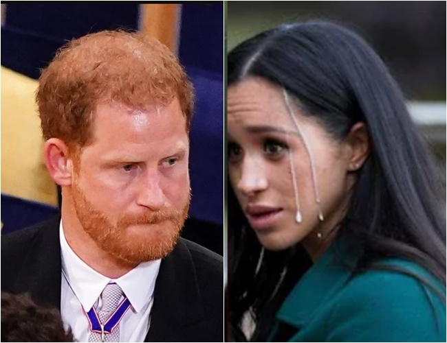 Tragic news: With a heavy heart, Prince Harry has announced from America, “My wife has been diagnosed with an illness…”