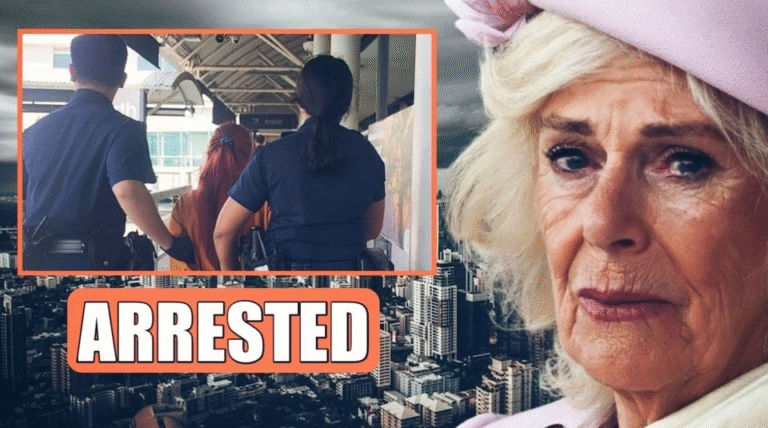 30 Minutes Ago: The Culprit Behind Princess Diana’s Tragedy Found – It Turns Out to Be a Royal Insider, Harry Immediately Returns to the UK Overnight.