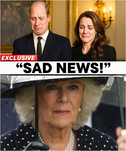 2 MINUTES AGO! The monarchy dropped a bombshell on its official website — a cold, cryptic post that sent Britain reeling: “A formal statement will be made at 6:00 p.m.” No details. No explanation. No signature. And then… a chilling line appeared: “Camilla — our stepmother…”