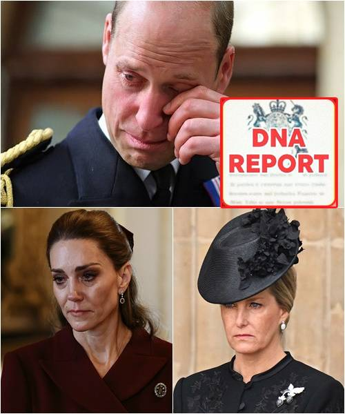 Prince William BREAKS IN TEARS After DNA Test CONFIRMS Diana’s Final Secret! The moment the sealed results landed at Kensington Palace, whispers erupted into thunder. Even the heir to the throne collapsed under the weight of truth, his tears unstoppable. The envelope carried not just science, but the ghosts of Diana’s past. And then came the words that froze Britain: “My God… the real father…”