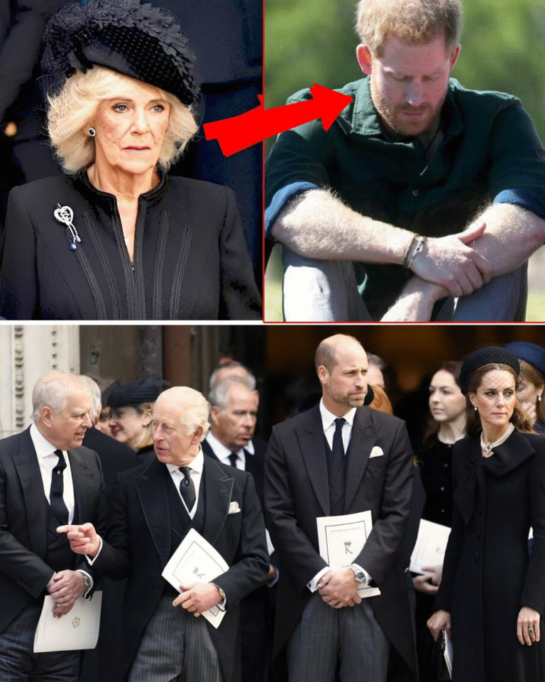 5 MINUTES AGO! The Royal Family, heads bowed, addressed the nation with heartbreaking words. The voice trembled, echoing through the palace: “We regret to announce… Harry…”