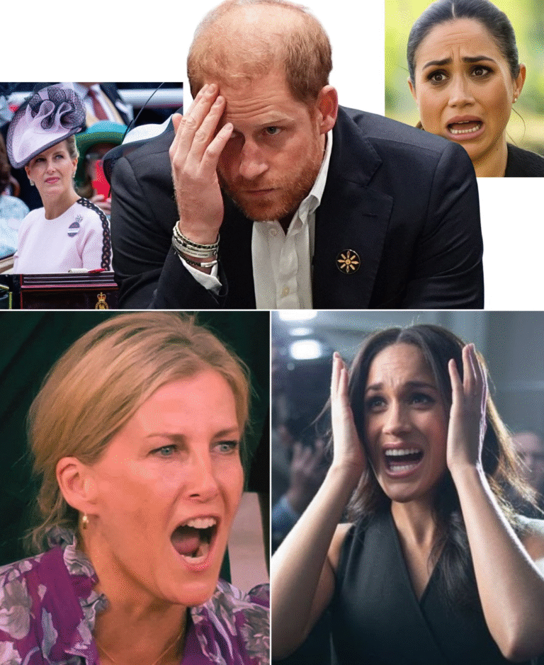 “GAME OVER, MEGHAN!” Duchess Sophie delivered the ultimate blow, dismantling Meghan’s so-called royal comeback scheme in front of stunned insiders. The fallout was brutal — Prince Harry, left “broken and humiliated,” could only watch as King Charles made his ruthless final call.