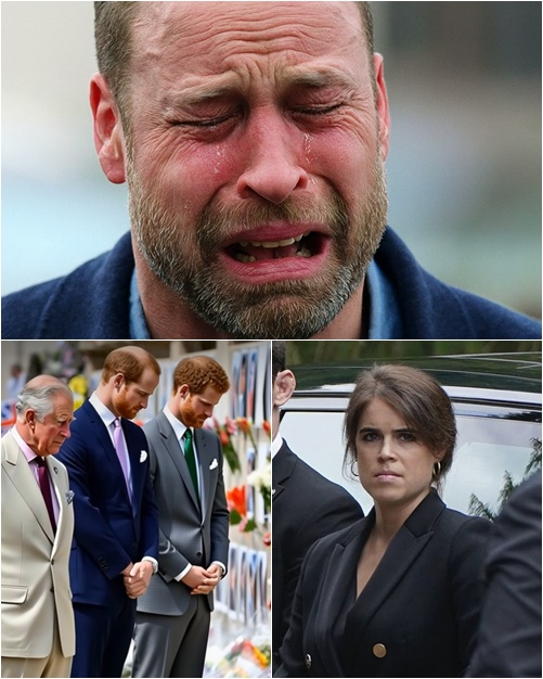 A chilling night at Buckingham! William’s scream — ‘I’ve lost her!’ — tore apart the silence. In a solemn chorus, the royals commanded: ‘Bow your heads!’ Charles led the way, Harry frozen in silence. Suddenly, a mournful voice rang out across the great hall: ‘We regret to announce…’”