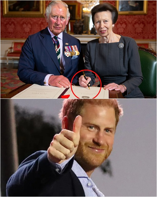 CONGRATULATIONS BRITAIN! Under Princess Anne’s pressure, King Charles was forced to sign a decree granting Harry a NEW TITLE and restoring Diana’s $1 BILLION inheritance. From America, Harry leapt with joy as he officially accepted the title: ‘…’”