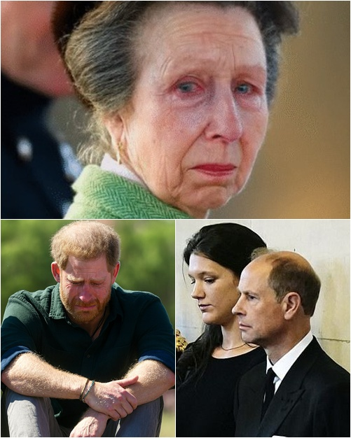 SHOCKING! Just 3 minutes ago, Princess Anne — the last pillar of the monarchy — broke down in tears as she delivered SAD NEWS to the entire nation. Harry was summoned back but sat huddled in a corner, crying. The royals gathered, cold and silent, before uttering the haunting words: ‘We deeply regret…’”