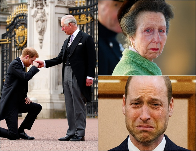 NOON ROYAL SHOCK! After 19 months of silence, Harry returned and fell to his knees before King Charles. No reporters, no cameras — only Harry’s broken sobs as he clung to his father’s feet. Charles, with boundless mercy, raised him gently. The royal family wept as Princess Anne gasped: ‘My God… Harry has…’”