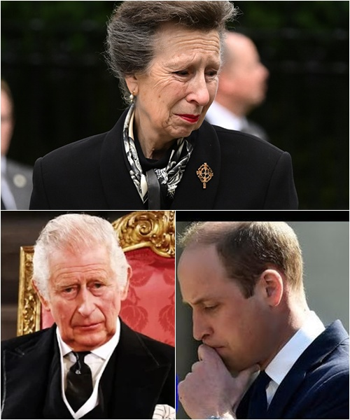 “I can no longer serve as I once did,” Princess Anne’s shocking admission echoed through the palace. Struck by dementia, the royal pillar faces an untimely farewell.