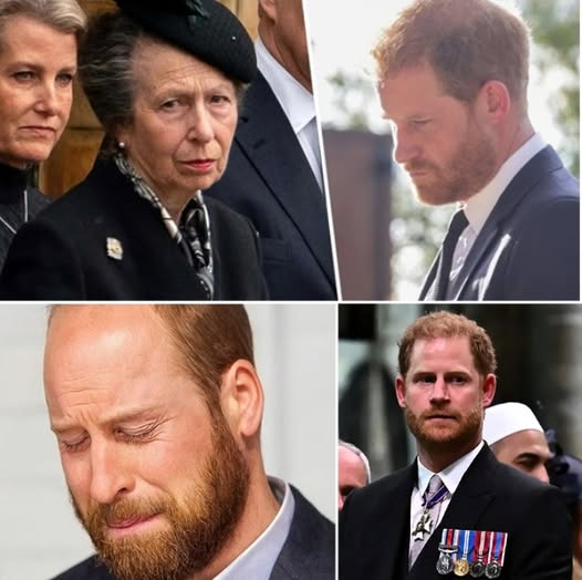 12 MINUTES AGO! Princess Anne’s frail voice trembled as she called Prince Harry, pleading for him to return home. Moments later, a visibly shaken Prince William stepped forward to confirm the news Britain had feared most. “With a heavy heart… I must say…” The Palace fell into darkness, and silence swept through the halls of Buckingham as storm clouds gathered over the crown.