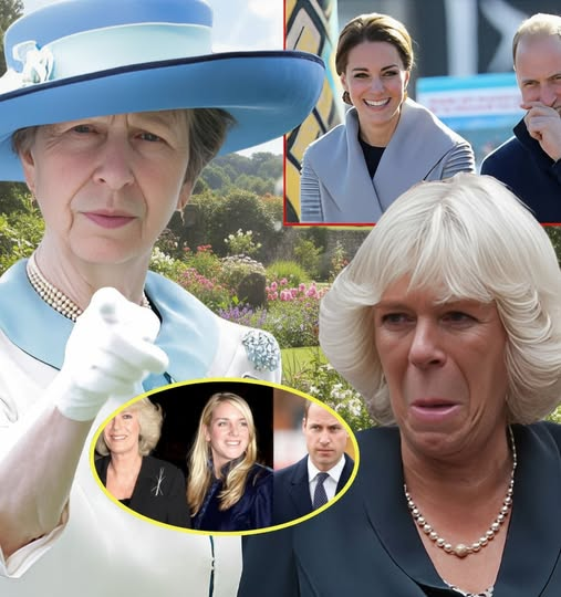 “Charles, help me!” — Queen Camilla screamed in terror after Princess Anne stripped her of her royal title. Prince William stood nearby, smirking with triumph. The monarchy has erupted into chaos as the title of High Queen is officially granted to…