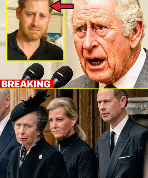 SAD NEWS — 1 HOUR AGO! King Charles III appeared grief-stricken after the funeral of the Duchess of Kent, revealing the reason Prince Harry failed to return. The royal family collapsed in shock — even the ever-strong Princess Anne could no longer stand. Darkness wrapped Buckingham Palace. Then Charles’s anguished cry tore through the night: “Harry, my son…”