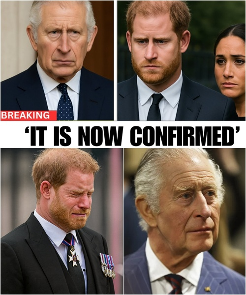 “‘Enough! You cannot live with one foot in and one foot out. The Royal Family will not accept a traitor!’ — King Charles pointed directly at Harry upon their reunion. Harry’s face was cold: ‘I love Meghan, and I will never regret leaving.’ AT LAST! King Charles stripped Prince Harry of all remaining royal privileges — and Britain applauded.”