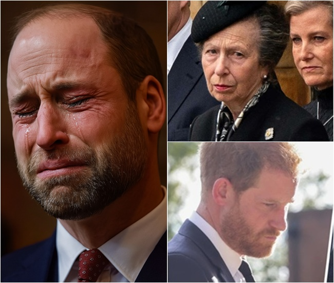 16 Minutes Ago: Palace in Tears! Frail Princess Anne Calls Harry Back — William’s Emotional Address Leaves Britain Stunned