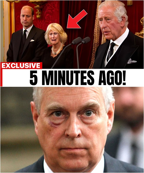 5 MINUTES AGO! The Palace confirms TRAGIC news about Prince Andrew amid the scandalous lawsuit. Camilla screams in despair, while William remains silent with his head bowed. King Charles orders the candles lit: ‘With a heavy heart, we must share this devastating news…’”