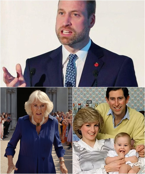 3 MINUTES AGO! In a jaw-dropping twist, Prince William broke a century of royal silence, revealing an emotional secret about Diana’s baby girl. His words shook the monarchy, leaving Queen Camilla reportedly furious. But one stunning detail from that press conference changes everything — and it’s not what you think…