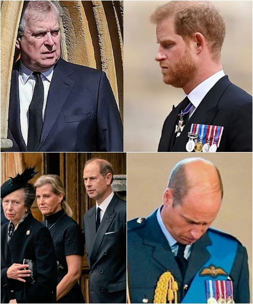 ROYAL TRAGEDY STRIKES! “Harry, why are you only coming back now?” — Prince Andrew demanded as Harry arrived at the Palace gates.