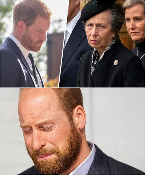 16 MINUTES AGO! Heartbreaking Tragedy Strikes — Princess Anne, looking frail, urgently calls Harry back as the entire Palace is gripped by sorrow. Prince William, wiping away tears, addresses the nation: ‘We are deeply sorry… utterly heartbroken…’ What happened next left Britain in shock.”