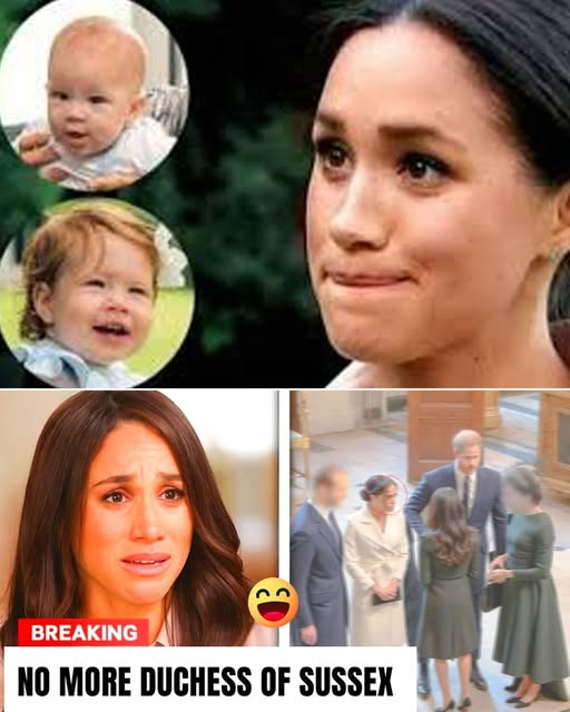 Breaking: Meghan Markle Stripped of Royal Immunity as Palace Draws Final Line “I will take Lilibet and Archie away forever if you dare do that…”