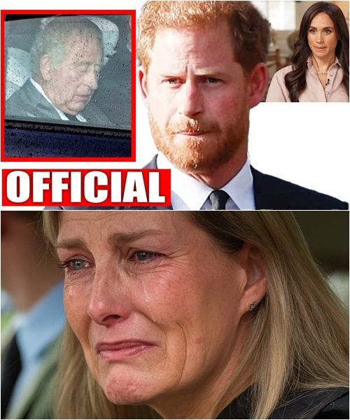 HEARTBREAKING! Sophie, the royal family’s loyal guardian, came sprinting into Buckingham with catastrophic news. Meghan has vanished without a trace. Charles clutches the throne in shock. And then Sophie’s scream pierced the darkness: ‘My God… Harry has…’ — and no one dared breathe.”